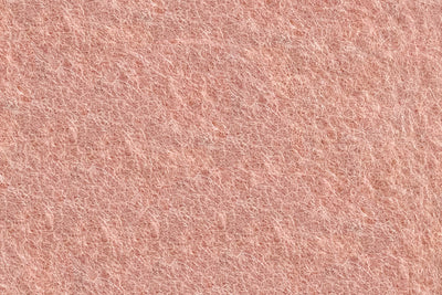 AC31 Salmon — textura PET filcu